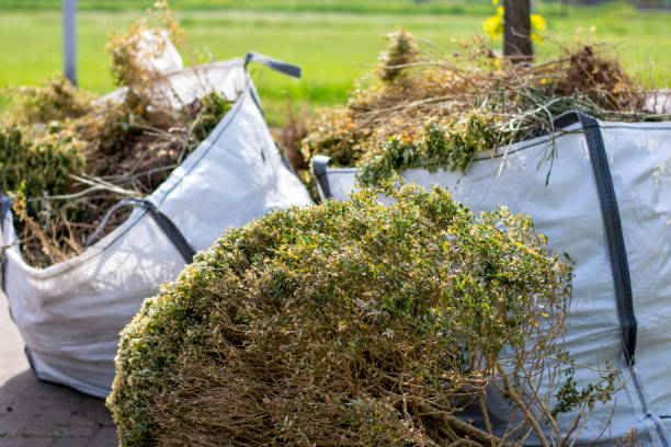 Best Professional Junk Removal  in Cleveland, MS